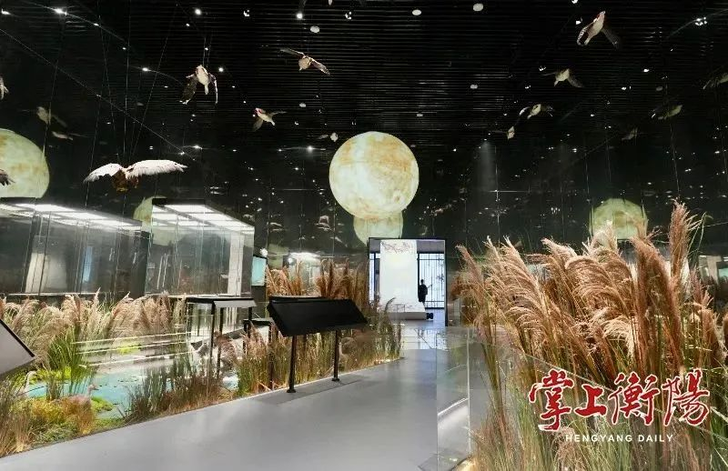 c7c7娱乐平台(中国游)登录官网入口