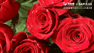 c7c7娱乐平台(中国游)登录官网入口