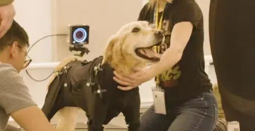 c7c7娱乐平台(中国游)登录官网入口